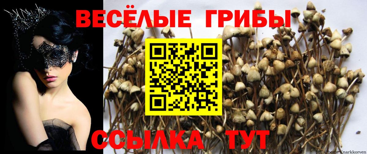 Ковров  Псилоцибиновые грибы ЛСД  Вход с VPN 