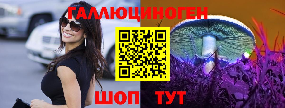 Галлюциногенные грибы Psilocybe Ковров